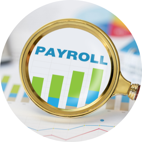 Professional Accountants